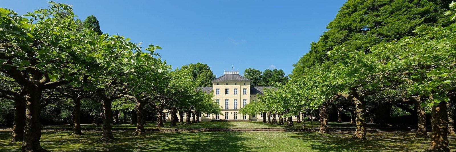 Hochzeits DJ Krefeld
